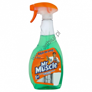 Płyn do szyb MR.MUSCLE 500ml z rozpylaczem