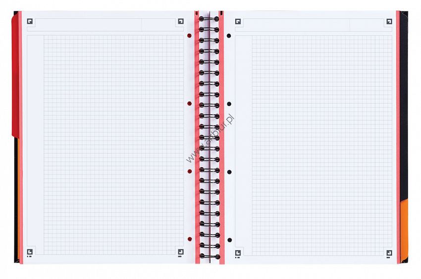 Kołonotatnik A4+ 100 kartek International Oxford Filinfbook