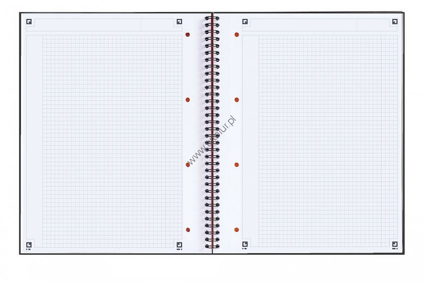 Kołonotatnik A4+ 80 kartek International Oxford Notebook